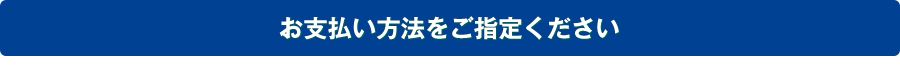 お支払い方法をご指定ください