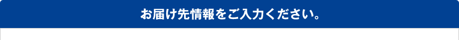 お届け先情報をご入力ください。