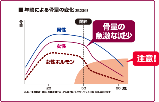 骨量の急激な現象