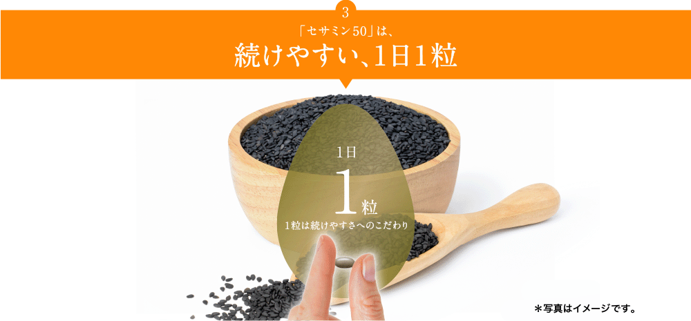 「セサミン50」は、続けやすい、1日1粒