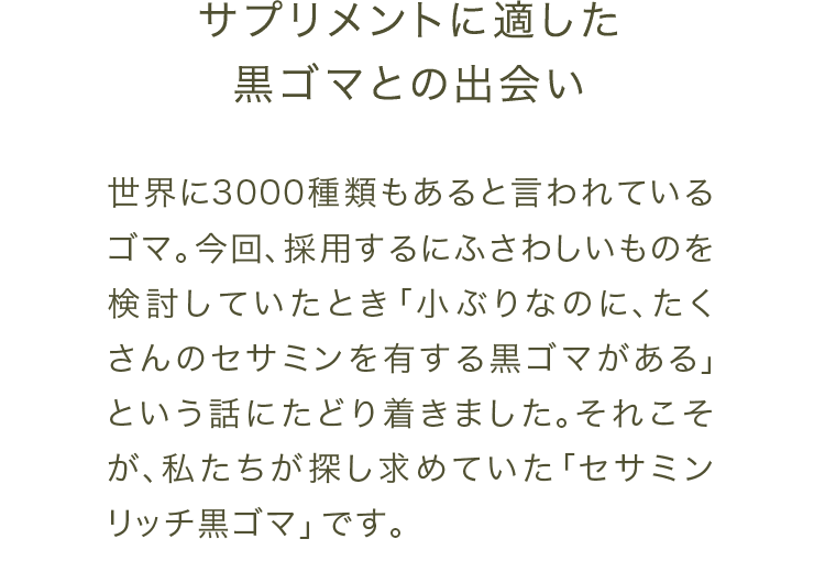 サプリメントに適した黒ゴマとの出会い