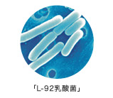 「L-92乳酸菌」